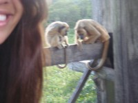 /album/fotos-de-trabalhos/owaaafojripdwmlnp97teacwnzpwxwi-lbvodspwwjgydjkrj5p9nfj6pxy6oi5pkasf5wc9ijepp8wyz1inwxih2-oam1t1ulnhf0bbgbhlr4deqo667zm58efz-jpg/