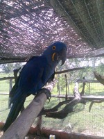 /album/fotos-de-trabalhos/owaaamsjolycier1n6z2augubw-qgw84l7snynakwrrcezatf9soiknwo-ojyj1t62ikyyq-ctnq6tel29mk28yq7qeam1t1upw9bp2sgvbje-utmsu2kgkc5rsb-jpg/