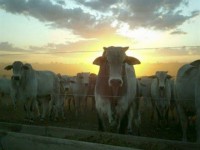 /album/fotos-de-trabalhos/owaaap8z2ycpifs9g-cc4qxfxofgrk59iqo3uxf1uvdbb5rp3mkms96vqrohtv8wuwby-1adeoohkkbwrxoidgpqul8am1t1ui3mybk2veab2ujlr1zhsoaowvg5-jpg/