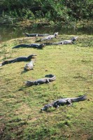 /album/fotos-de-trabalhos/paaaabxgu7zhqdp7x1jus1srsmp92pyvyvasvbj5riotxte1zalr6lg2hyyktuixte5zeqnivyryxmofluebha1kdt8am1t1ui1hssmlswjnqs1losrasdhthyyo-jpg/