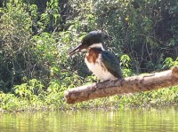 /album/fotos-de-trabalhos/pqaaaa-ost8qzzygc-i7pwx9e9fw7clznsejnvsgx6r-yrqjs-nr8hzc92f9exoy5i0getd2tywzygdk1ktwzkdpsduam1t1uhdhzioykyxilrvnu9wshbq-6-f-jpg/