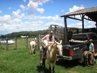 /album/fotos-de-trabalhos/pqaaaayeugbzoua9rsa0t3fm-shlfgkzjmuxdk56ptd-chh-suyecxmnknwhzpe9fzoz5ku10plk2yyl6ahjpraiid0am1t1upt8l8u8h2eni9qlvxp77evoojaw-jpg/