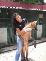 /album/fotos-de-trabalhos/pqaaahv3t15kavz9pvudqrwx5rgjnw65rxa8-xi4dno7cnpkxgq9jpii23zxnew3qqywnl00fvullf-nv7rfhy28w1oam1t1ujdwkxx83znl4azkcjmiwh0sth71-jpg/