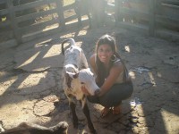 /album/fotos-de-trabalhos/pqaaaivzvyqxdwptqrgaggairvcwtrfqx8q1ulsq4kuwragxwhdgzujszgfncxgov65jcegjdx66tsg42qnmjvry9xcam1t1ubu2r-xsyojtgdsbwhzax5yfbwrj-jpg/