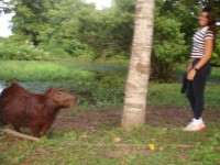 /album/fotos-de-trabalhos/pqaaaktygz4gffsj9m4xj1t-sqtrapzrmrjrardrlwue07wgmspr6m-pwigtyz0apkultuddnpnur3xhbk0b8w2yykam1t1ublpixr-att-ki4vcs386hv3g9t-jpg/