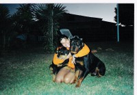 /album/fotos-de-trabalhos/pqaaamcx2f6y9sxo7k0-hxo4j5rrto4-lmz-nilhy7v4oebxbionf0eseqma-rt-9rsrkvzadoa-rbmlvokz7dnrrswam1t1uckanvmxac-fkifvqfa0xaweugke-jpg/