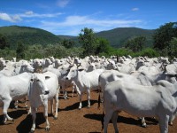 /album/fotos-de-trabalhos/pqaaapvbeqxjzlmb-8jcovdjbsbdpias7qhwgwsarktfzj4mtq8ztksyvqiir-67evrjopxnzvvhv0bzvqu6ebcytsoam1t1upd8c4ikky-kkekzfge-maaooqil-jpg/